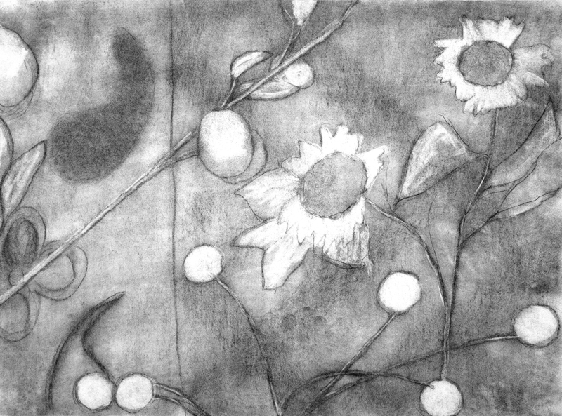 thumbnail of Wallflower by artist Eugene Han. Pencil and charcoal on paper, 2022. 18x24 inches