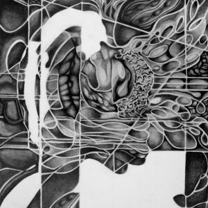 thumbnail of Complex Mind by artist Adriana Garcia de la Cruz. Graphite on paper, 2022. 16x12 inches