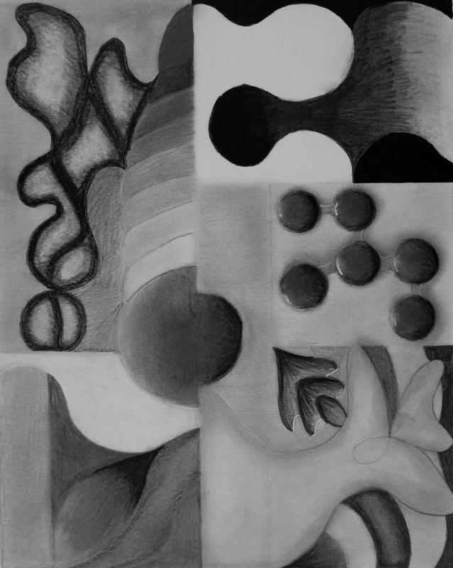 thumbnail of The Seashell by artist Ameena Hassouneh. graphite on paper, 2022. 16x12 inches