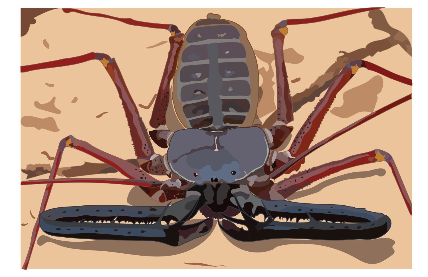 thumbnail of 