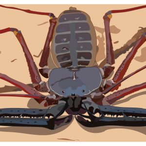 thumbnail of 